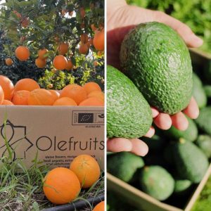 Caja de aguacates y naranjas ecológicas